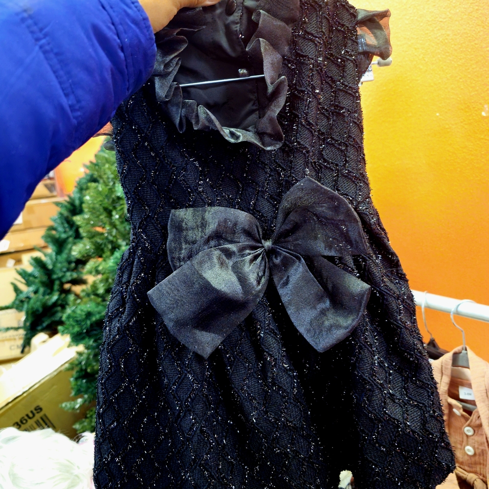 Dog Elegant Black Dress with Bow